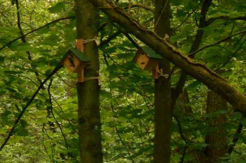 Vogelhaus bewohnt