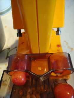 Entsteinmaschine