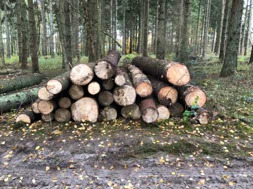 laengengleich gepoltert