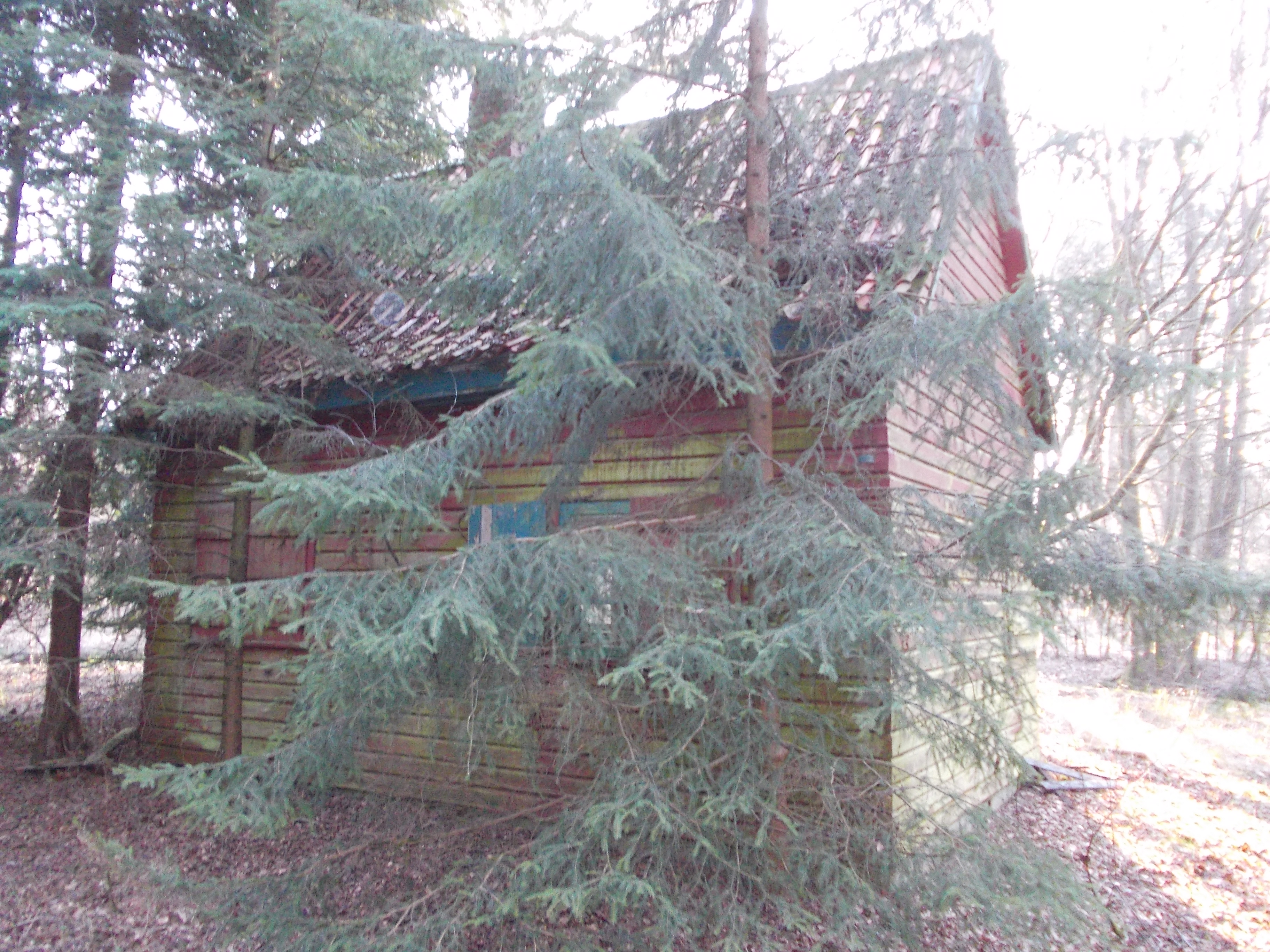 DSCN0801